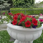 House Dolcevita 30 Min Per Venezia 招待所 3*